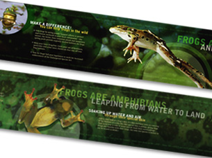 Frog Tank Reading Rails
