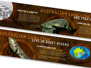 Lungfish Reading Rails